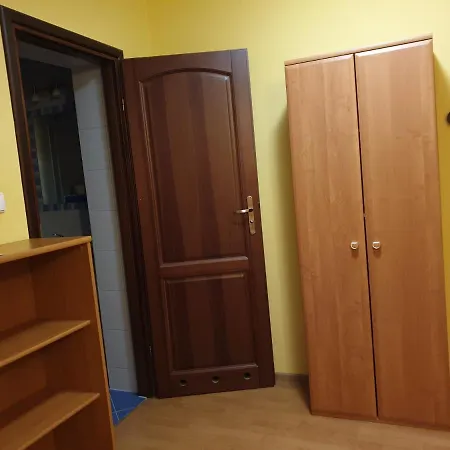 Anda Проживание в семье *